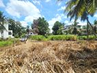 8.10P High Residential Bare Land For Sale In Polwatta