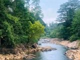 83 Acre Land for Sale in Badulla
