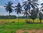 8.4 Perch Land for sale in Athurugiriya
