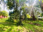 8.4P Superb Land for Sale - Malabe Town