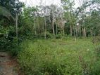 Land for Sale in Matugama