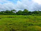 8.5 Acres Bare land for sale in Ekala, Ja Ela (C7-6409)