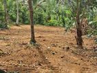 8.5 Perch Residential Land for Sale - Ranala