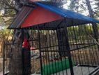 Dog Cage