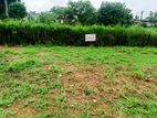 Land for Sale in Minuwangoda