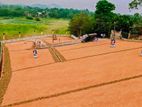 8.5P Land For Sale In Malabe Kothalawala