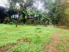 (87) Kottawa Town 8 perched Highly residence Valuable land for sale
