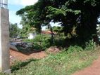 8.75P Land for Sale in Meemanagoda Road, Kalalgoda (SL 11186)
