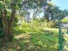 8.79 Perches Residential Bare Land For Sale Palewatta