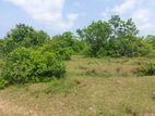 880 Perches Land For Sale In Kaluthara (SL 8553)