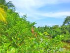 880 Perches Tourism Land For Sale In Mihiripenna