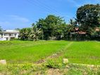 8.84P Land For Sale in Thalawathugoda Facing Paddy Field
