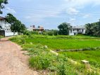 8.84P Land For Sale in Thalawathugoda Facing Paddy Field
