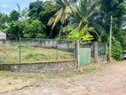 8.84P Land For Sale in Thalawathugoda Facing Paddy Field