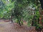 8.9 P Prime Residential Land For Sale in Nawala | SL14664