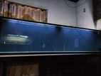 8 Feet Fish Tank
