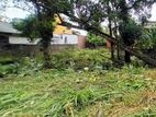 8P, 9.4P & 17.4P Prime Residential Lands For Sale In Pannipitiya