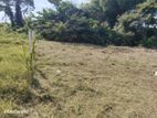 8P Land for Sale in Kaduwela Ranala Road, Dadigamuwa