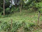 8p land for sale in Kandy City - walking distance