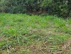 8p land for sale in Kandy (gatambe junction)