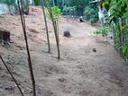 8p Land for Sale in Peradeniya (Tps2284)