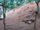 8p Land for Sale in Peradeniya (Tps2284)