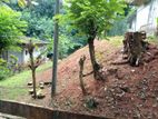 8p Land for Sale in Peradeniya (Tps2284)