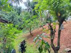 8p Land for Sale in Peradeniya (Tps2284)