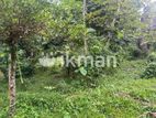 9/18 Perch Land for Sale in Pelenwatta, Pannipitiya PCCC-A1