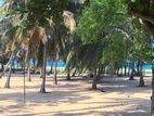 9 Ac Beachfront Land with 3 Villas for Sale -Pasikuda
