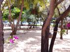 9 Ac Beachfront Land with 3 Villas for Sale -Pasikuda
