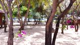 9 Ac Beachfront Land with 3 Villas for Sale -Pasikuda