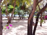 9 Ac Beachfront Land with 3 Villas for Sale -Pasikuda