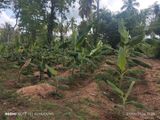 9 Acres Land For Sale Demataluwa