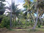 9 Acres Land For Sale In Kurunegala - Cl575