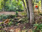 9 Perch Bare Land for Sale in Pilimathalawa