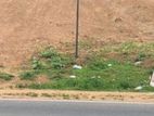 9 Perch Commercial Land For Sale In Papiliyana (Main Road Facing)