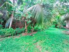 9 perches land for sale in Piliyandala town
