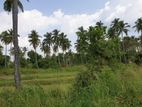 90 Acres Land in Nagollagama