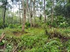90 Perch Bare Land for Sale – Arakawila Padukka