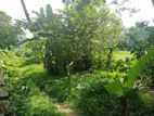 90 Perch Land for Sale Watareka Padukka