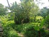 90 Perch Land for Sale Watareka Padukka
