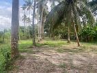 90 Perched Land with Coconut Trees for sale in Katunayake