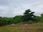 90 Perches Land for Sale in Ja -Ela