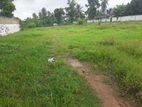 900 Perch Bare Land for Sale in Pamunugama (C7-5238)