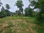 90P Bare Land For Sale In Ingiriya