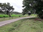 91 Perch Land for Sale Bandaragama