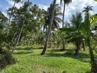 920 Perches Land For Sale in Dambadeniya (SSPL-342)