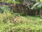 9.3 perches land for sale in etul kotte