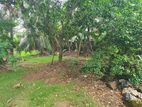 9.36 P Prime Residential Land For Sale in Nawala | SL14663